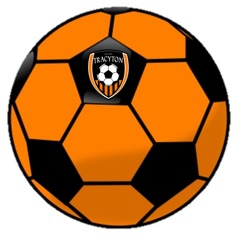 WOLI Soccer Ball Image