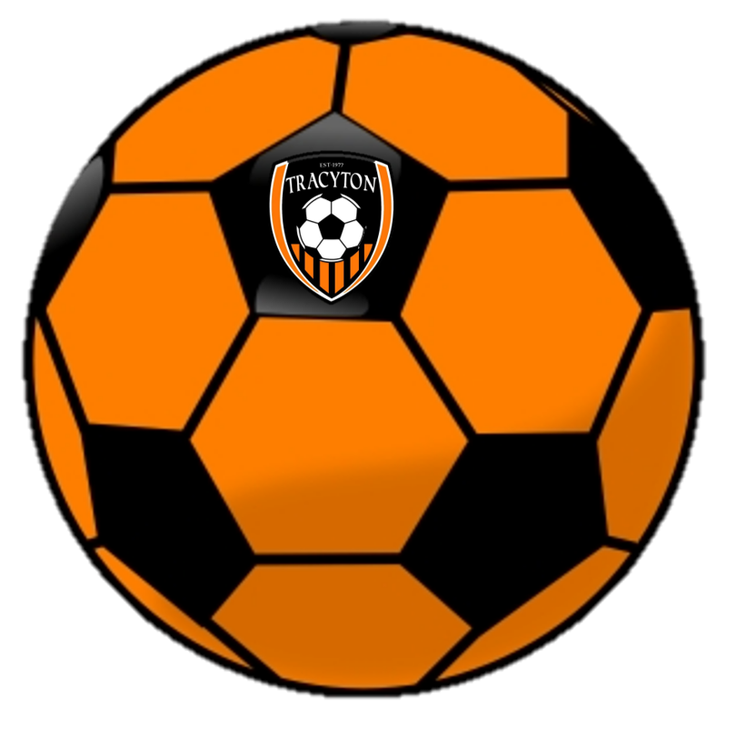 TSC Soccer Ball Image